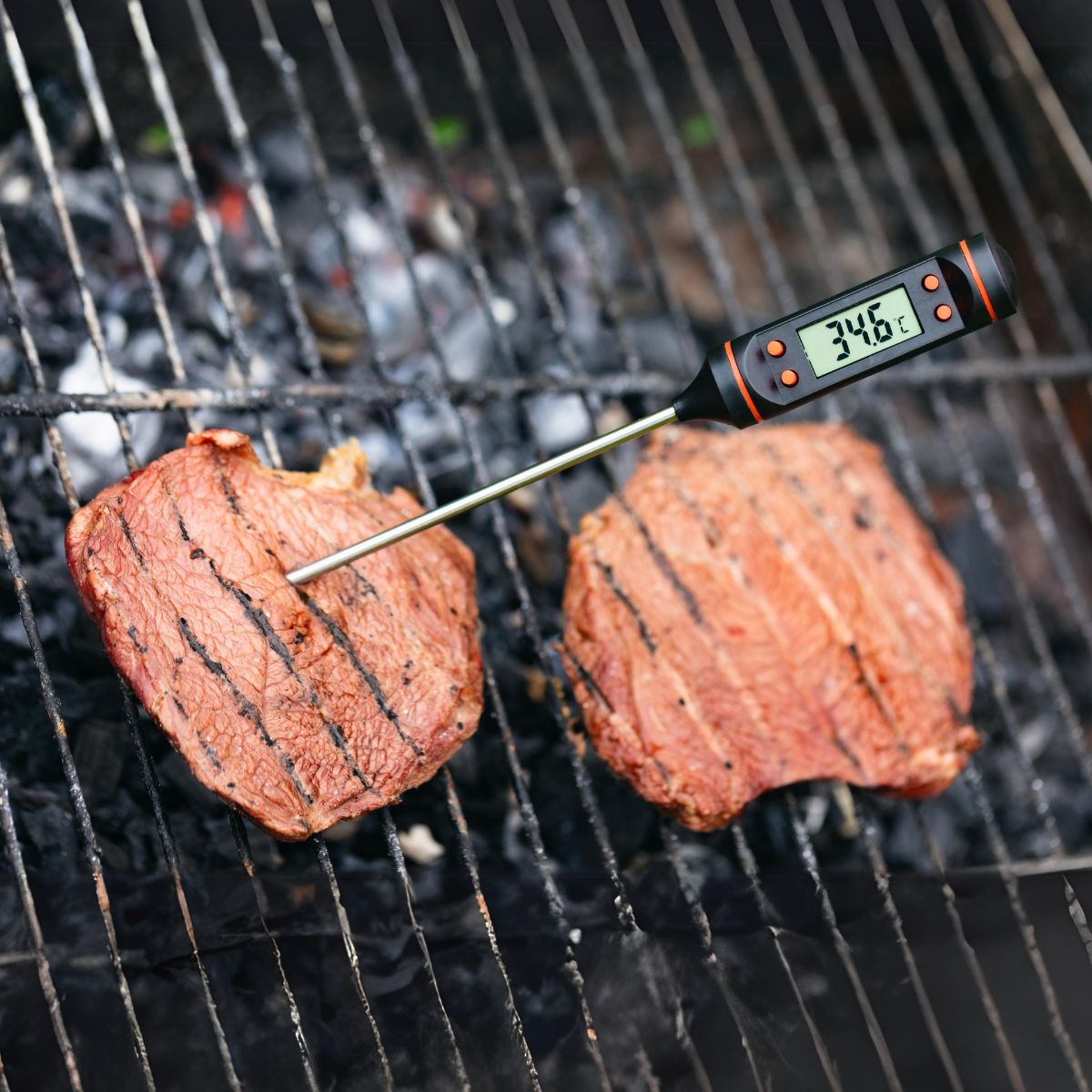 A Venison meat with digital thermometer for checking internal temperature.